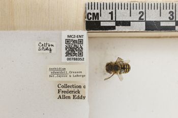 Media type: image;   Entomology 788352 Aspect: Labels